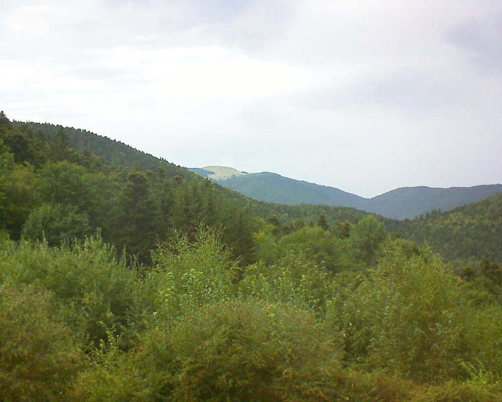 Le petit ballon vu depuis le Domaine Langmatt à Murbach le 29.08.2018 à 15:00 Le petit ballon (Alsace, Vosges) le 29.08.2018 à 15:00
