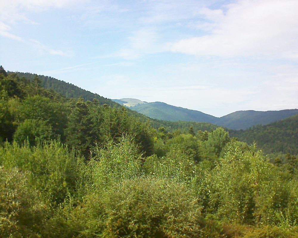 Le petit ballon vu depuis le Domaine Langmatt à Murbach le 29.08.2018 à 16:00 Le petit ballon (Alsace, Vosges) le 29.08.2018 à 16:00