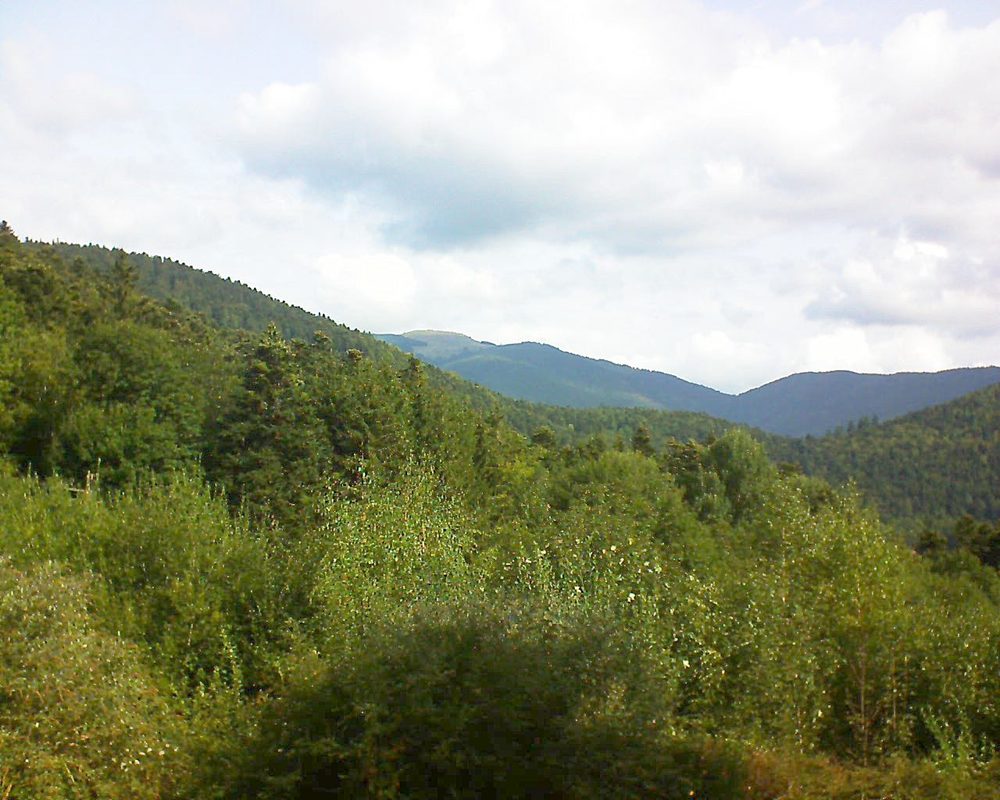 Le petit ballon vu depuis le Domaine Langmatt à Murbach le 30.08.2018 à 10:45 Le petit ballon (Alsace, Vosges) le 30.08.2018 à 10:45