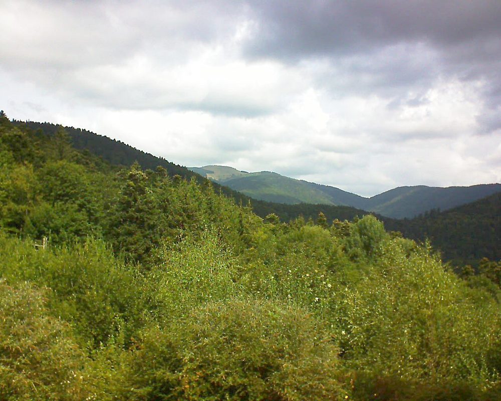 Le petit ballon vu depuis le Domaine Langmatt à Murbach le 30.08.2018 à 12:15 Le petit ballon (Alsace, Vosges) le 30.08.2018 à 12:15