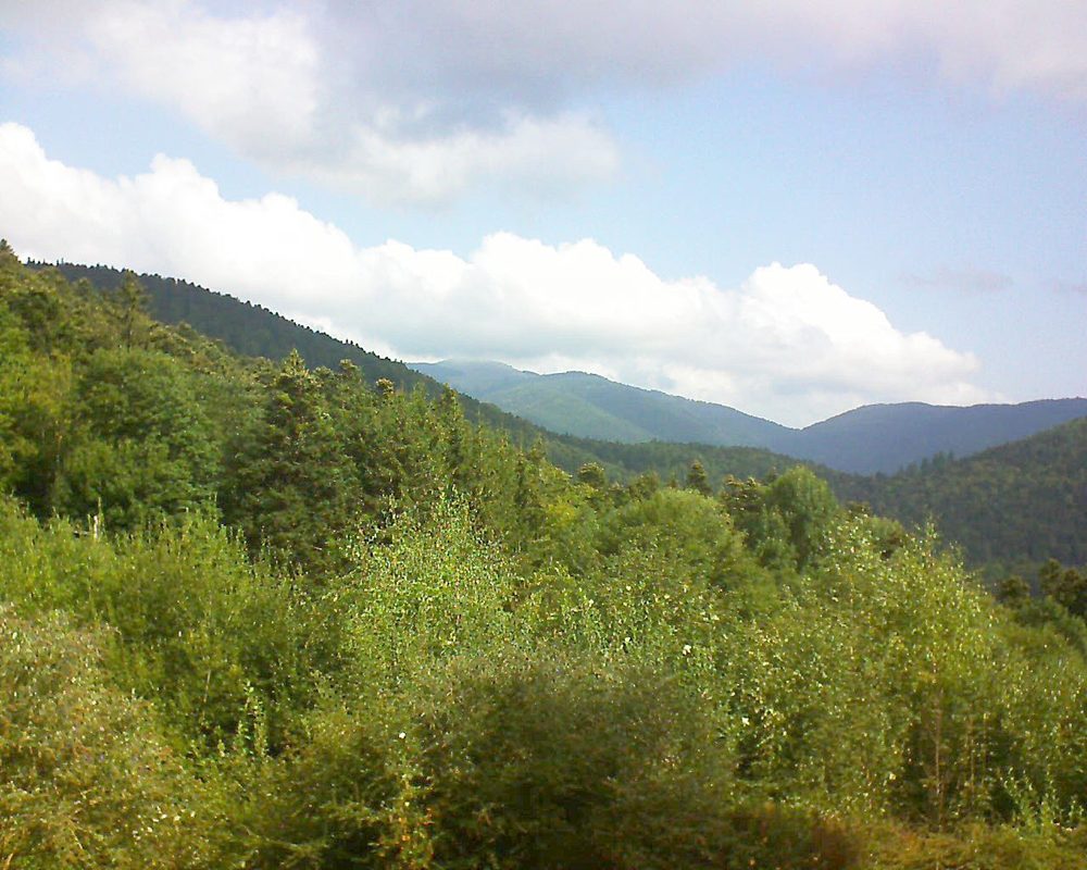 Le petit ballon vu depuis le Domaine Langmatt à Murbach le 01.09.2018 à 11:00 Le petit ballon (Alsace, Vosges) le 01.09.2018 à 11:00