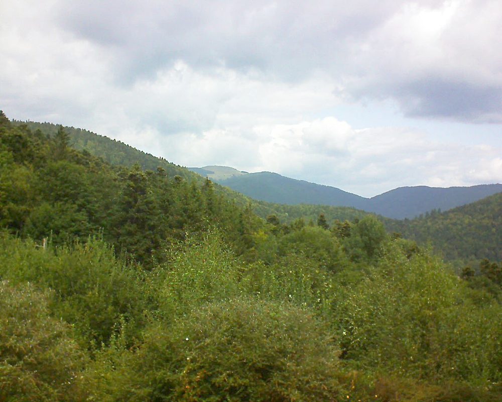 Le petit ballon vu depuis le Domaine Langmatt à Murbach le 01.09.2018 à 13:00 Le petit ballon (Alsace, Vosges) le 01.09.2018 à 13:00