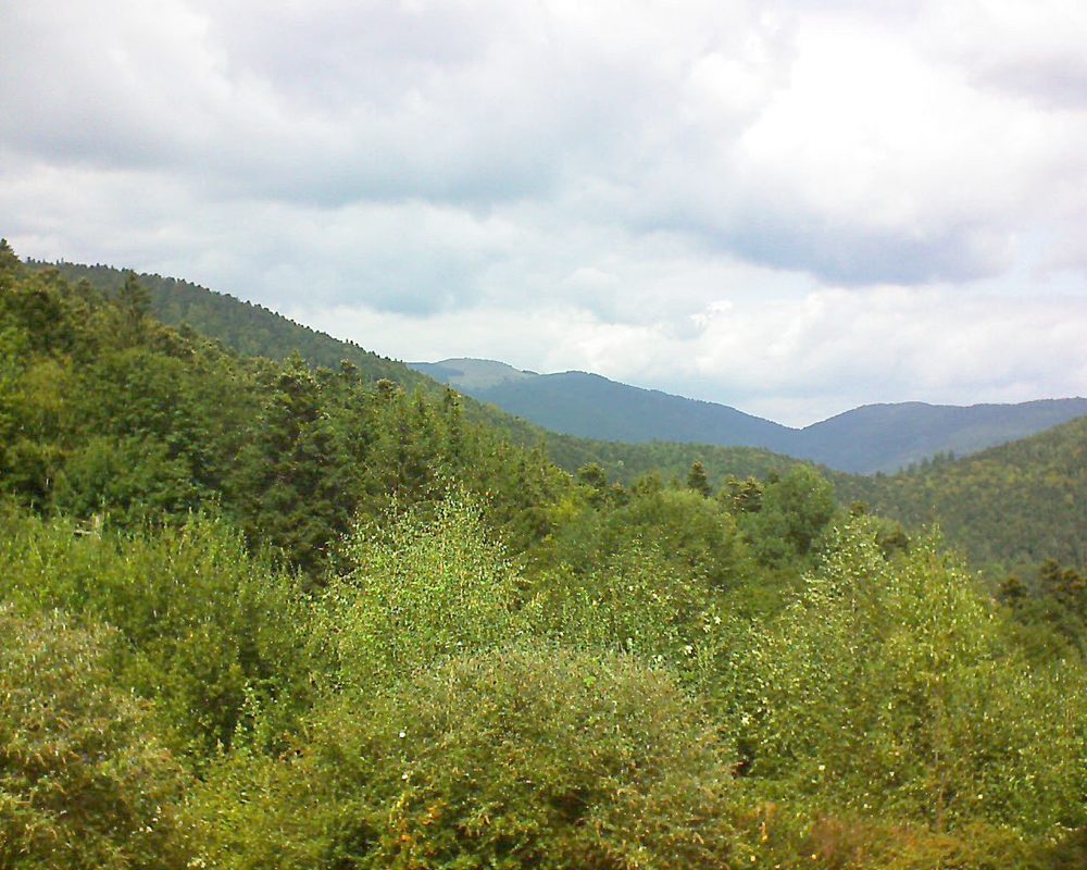 Le petit ballon vu depuis le Domaine Langmatt à Murbach le 01.09.2018 à 13:30 Le petit ballon (Alsace, Vosges) le 01.09.2018 à 13:30