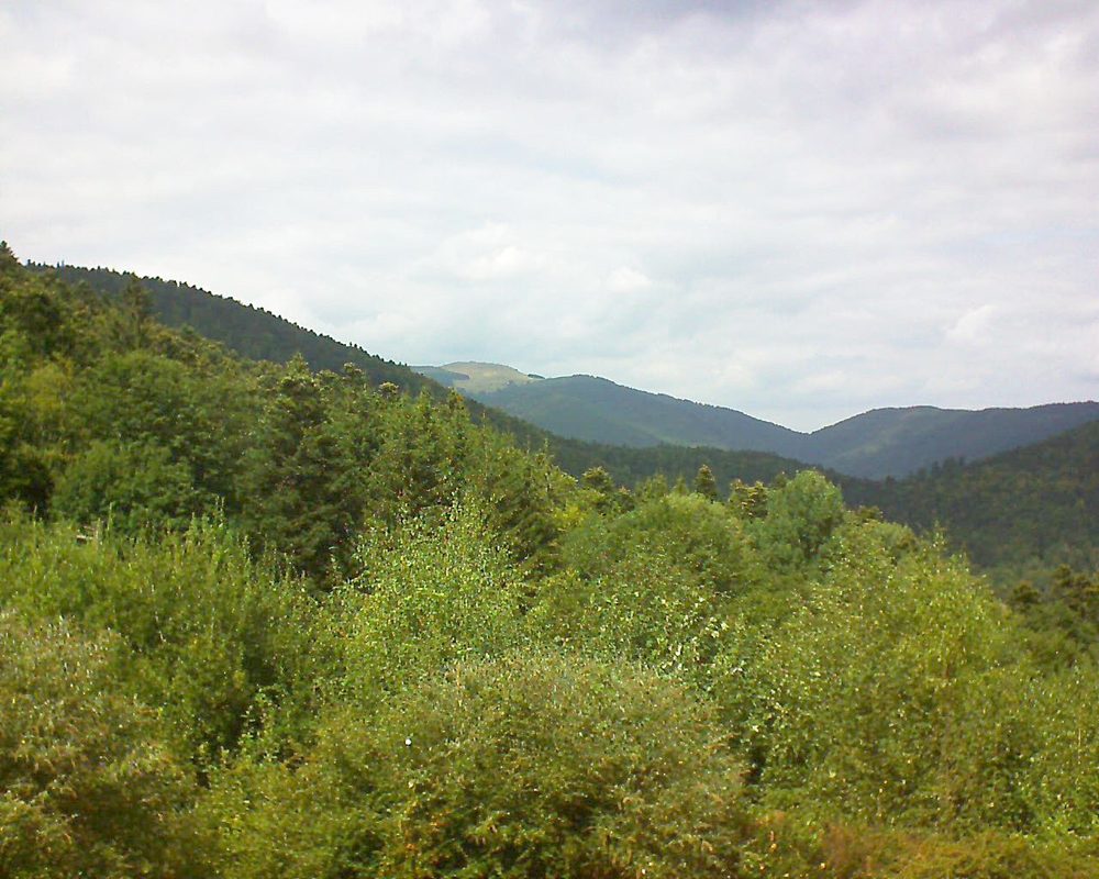 Le petit ballon vu depuis le Domaine Langmatt à Murbach le 01.09.2018 à 14:15 Le petit ballon (Alsace, Vosges) le 01.09.2018 à 14:15