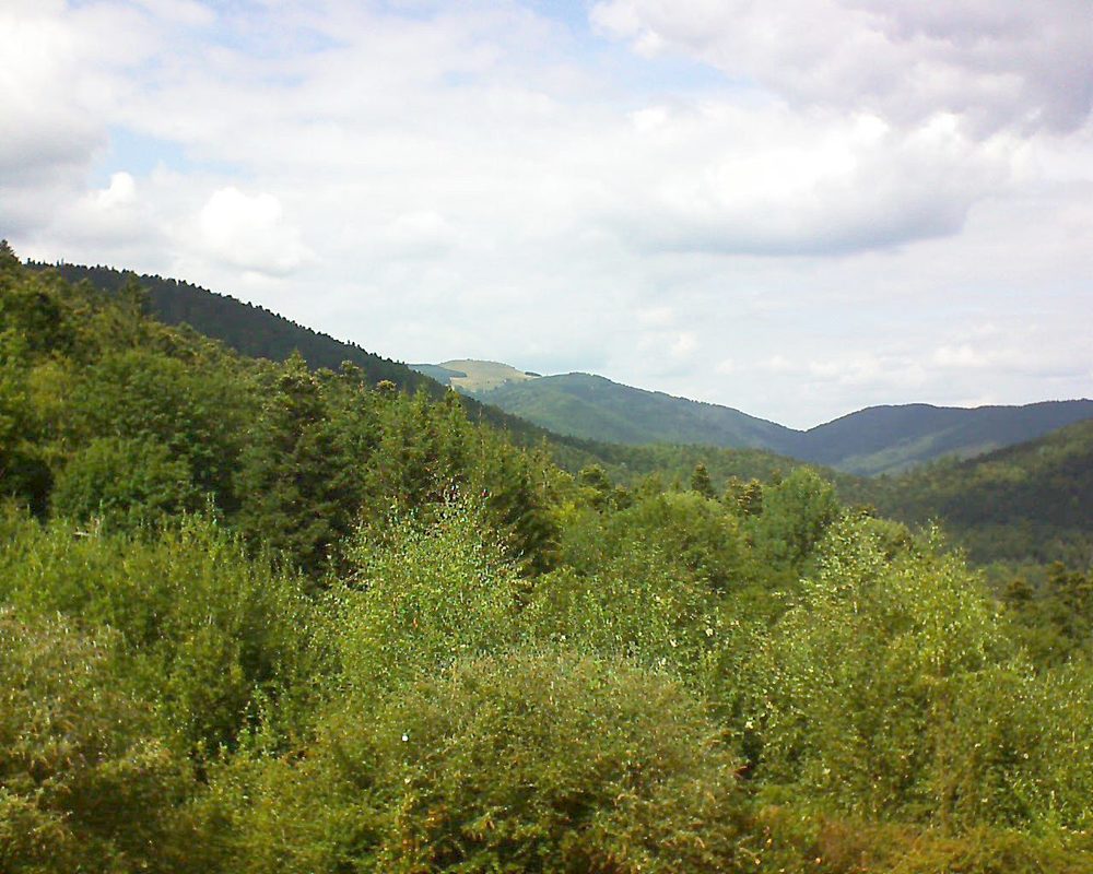 Le petit ballon vu depuis le Domaine Langmatt à Murbach le 01.09.2018 à 14:45 Le petit ballon (Alsace, Vosges) le 01.09.2018 à 14:45