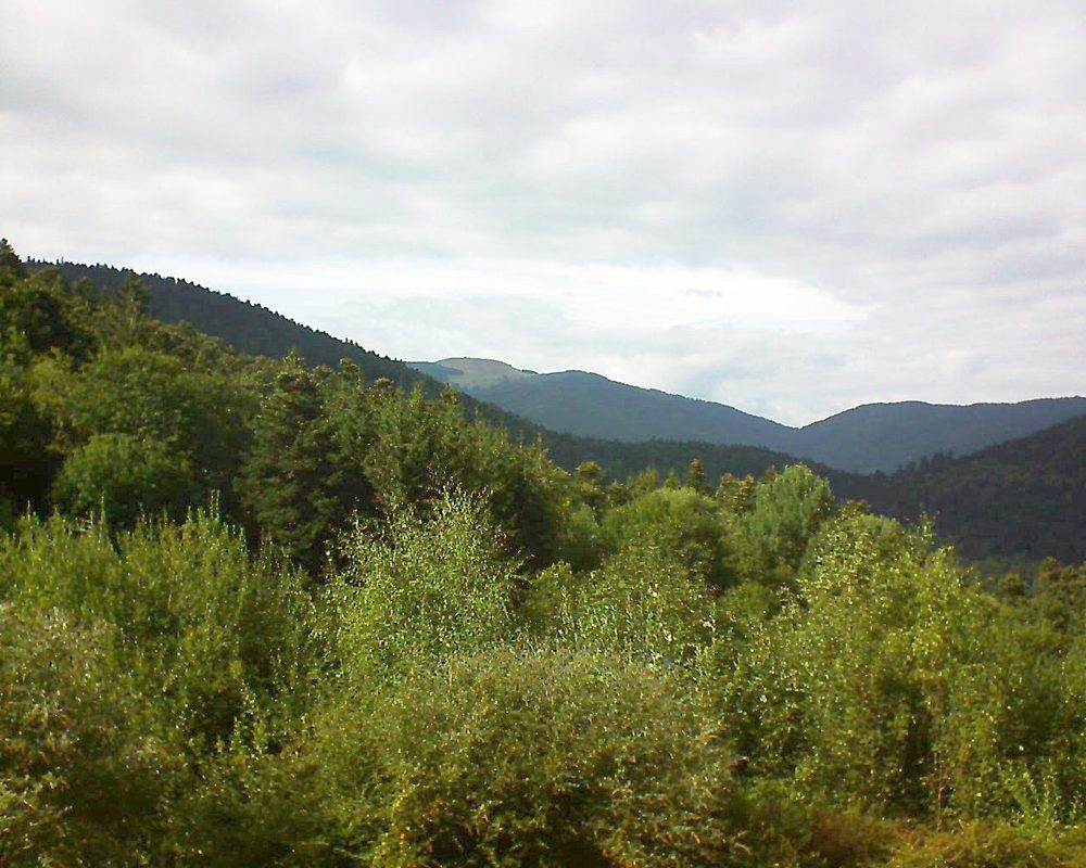 Le petit ballon vu depuis le Domaine Langmatt à Murbach le 03.09.2018 à 16:30 Le petit ballon (Alsace, Vosges) le 03.09.2018 à 16:30