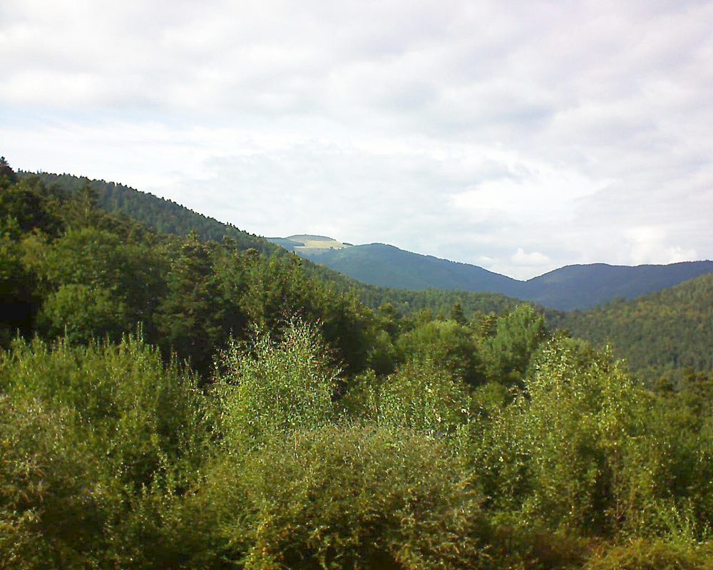 Le petit ballon vu depuis le Domaine Langmatt à Murbach le 03.09.2018 à 16:45 Le petit ballon (Alsace, Vosges) le 03.09.2018 à 16:45