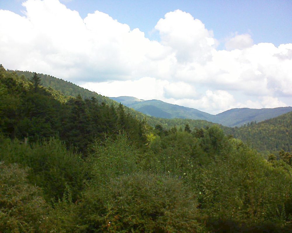 Le petit ballon vu depuis le Domaine Langmatt à Murbach le 04.09.2018 à 12:15 Le petit ballon (Alsace, Vosges) le 04.09.2018 à 12:15