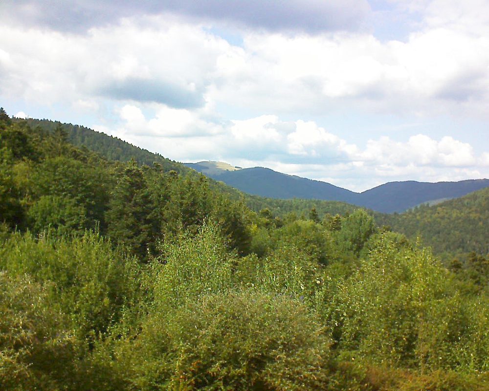 Le petit ballon vu depuis le Domaine Langmatt à Murbach le 04.09.2018 à 15:30 Le petit ballon (Alsace, Vosges) le 04.09.2018 à 15:30