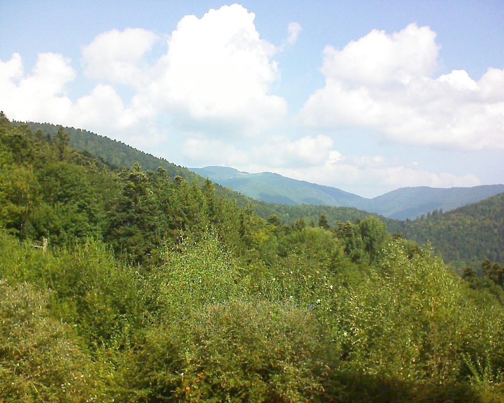 Le petit ballon vu depuis le Domaine Langmatt à Murbach le 05.09.2018 à 11:45 Le petit ballon (Alsace, Vosges) le 05.09.2018 à 11:45