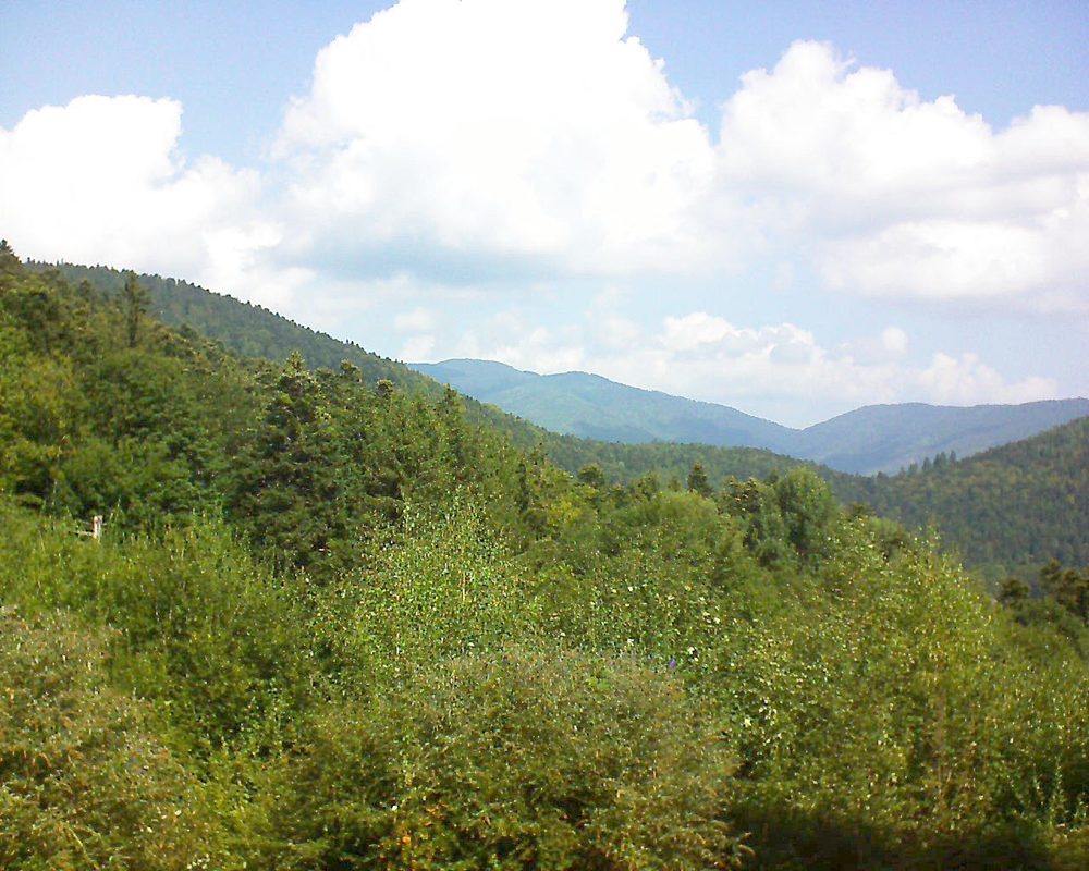 Le petit ballon vu depuis le Domaine Langmatt à Murbach le 05.09.2018 à 12:00 Le petit ballon (Alsace, Vosges) le 05.09.2018 à 12:00