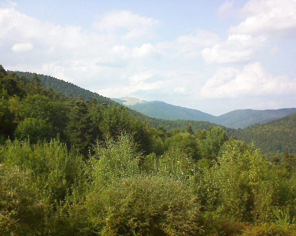 Le petit ballon vu depuis le Domaine Langmatt à Murbach le 05.09.2018 à 16:30 Le petit ballon (Alsace, Vosges) le 05.09.2018 à 16:30