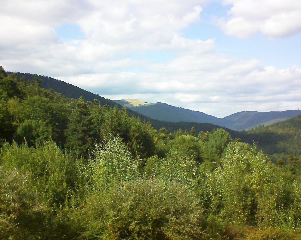 Le petit ballon vu depuis le Domaine Langmatt à Murbach le 07.09.2018 à 16:00 Le petit ballon (Alsace, Vosges) le 07.09.2018 à 16:00