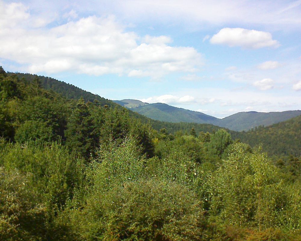 Le petit ballon vu depuis le Domaine Langmatt à Murbach le 08.09.2018 à 15:15 Le petit ballon (Alsace, Vosges) le 08.09.2018 à 15:15