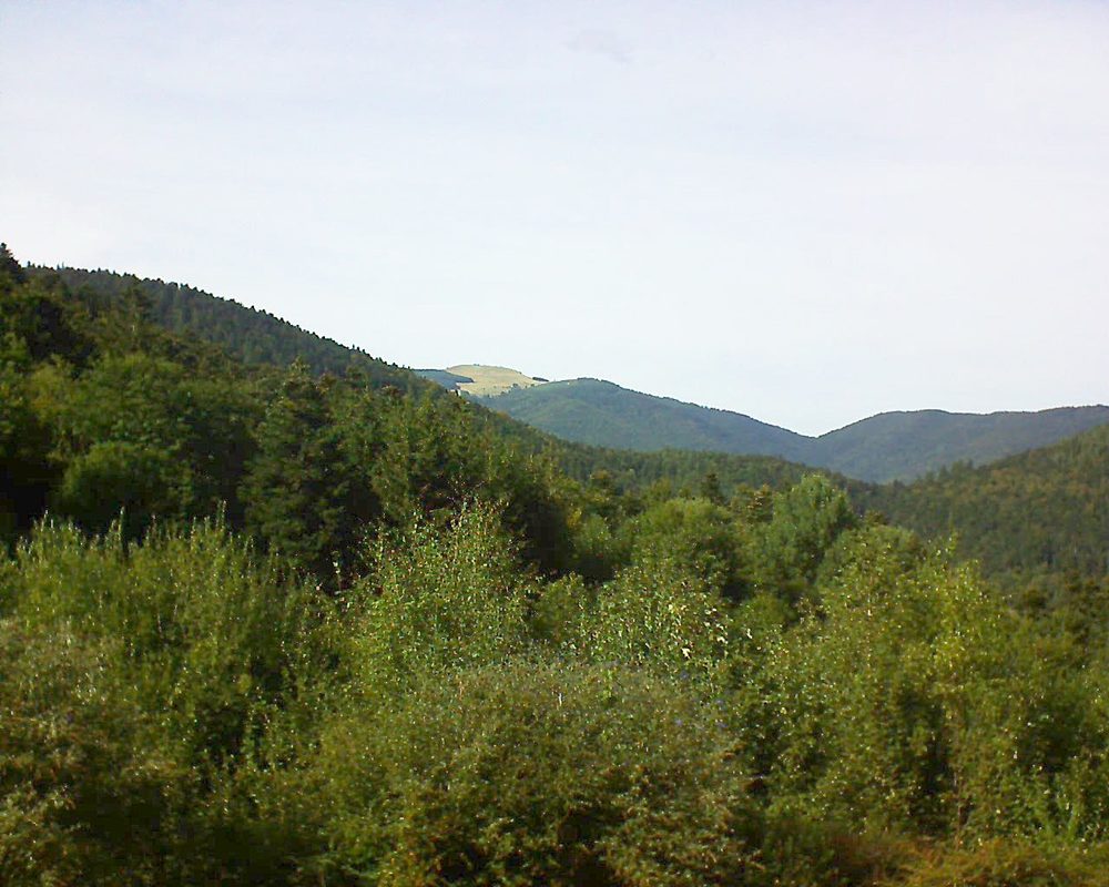Le petit ballon vu depuis le Domaine Langmatt à Murbach le 10.09.2018 à 16:15 Le petit ballon (Alsace, Vosges) le 10.09.2018 à 16:15