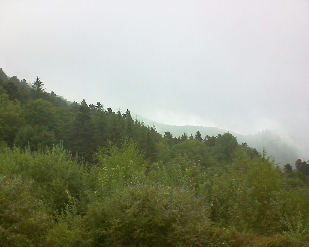 Le petit ballon vu depuis le Domaine Langmatt à Murbach le 14.09.2018 à 12:15 Le petit ballon (Alsace, Vosges) le 14.09.2018 à 12:15