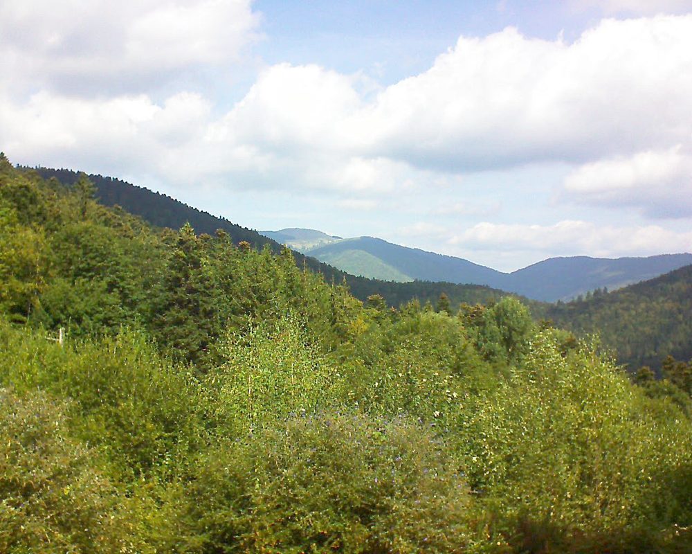 Le petit ballon vu depuis le Domaine Langmatt à Murbach le 15.09.2018 à 12:15 Le petit ballon (Alsace, Vosges) le 15.09.2018 à 12:15