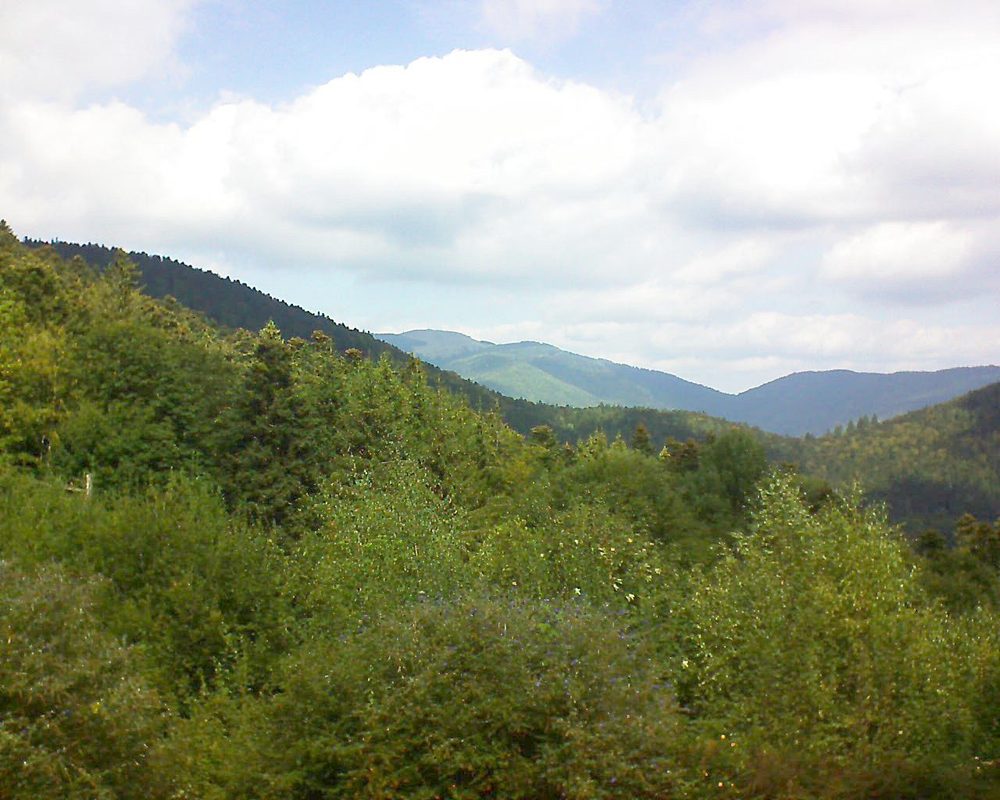 Le petit ballon vu depuis le Domaine Langmatt à Murbach le 15.09.2018 à 12:45 Le petit ballon (Alsace, Vosges) le 15.09.2018 à 12:45