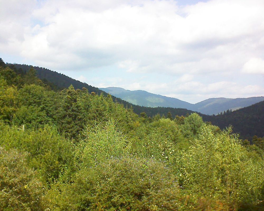 Le petit ballon vu depuis le Domaine Langmatt à Murbach le 15.09.2018 à 13:00 Le petit ballon (Alsace, Vosges) le 15.09.2018 à 13:00