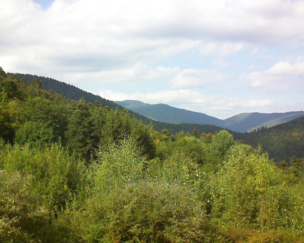 Le petit ballon vu depuis le Domaine Langmatt à Murbach le 15.09.2018 à 15:15 Le petit ballon (Alsace, Vosges) le 15.09.2018 à 15:15