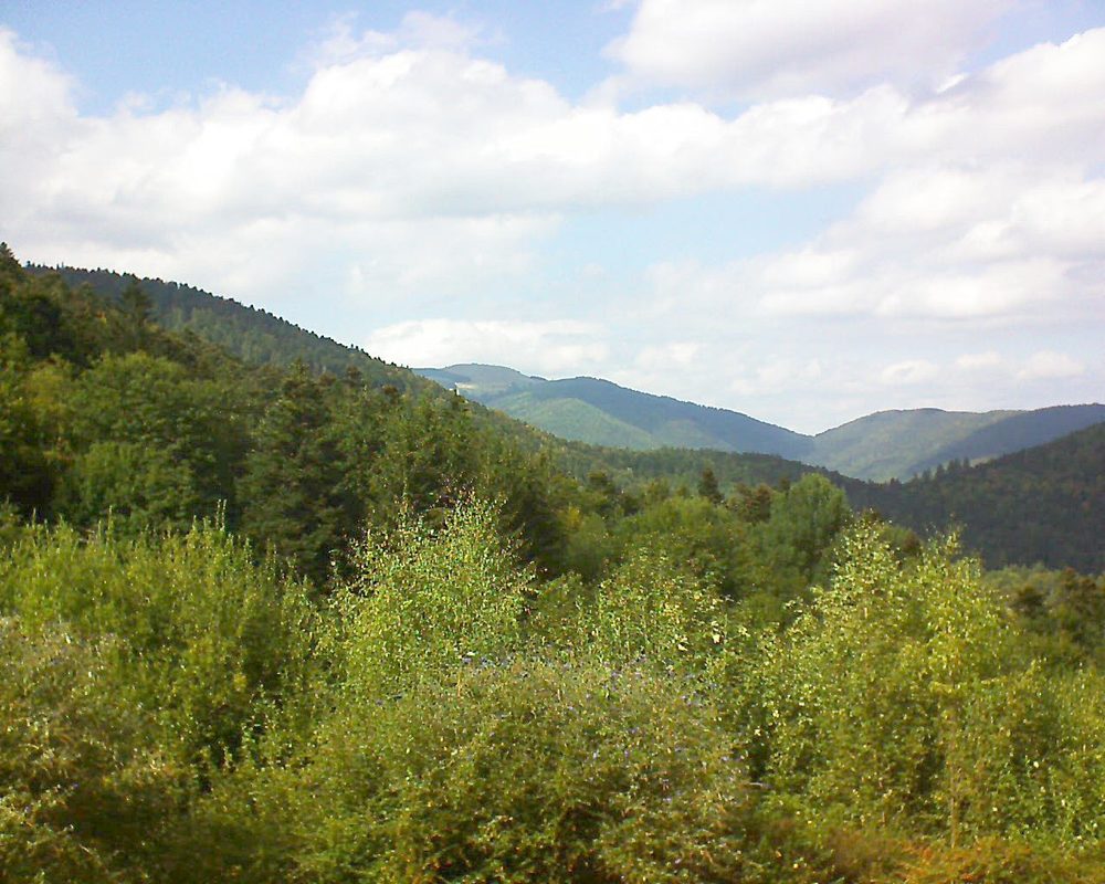Le petit ballon vu depuis le Domaine Langmatt à Murbach le 15.09.2018 à 15:30 Le petit ballon (Alsace, Vosges) le 15.09.2018 à 15:30