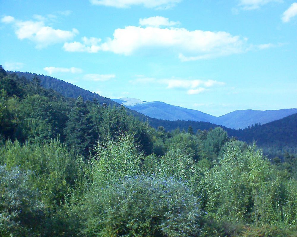 Le petit ballon vu depuis le Domaine Langmatt à Murbach le 17.09.2018 à 15:45 Le petit ballon (Alsace, Vosges) le 17.09.2018 à 15:45