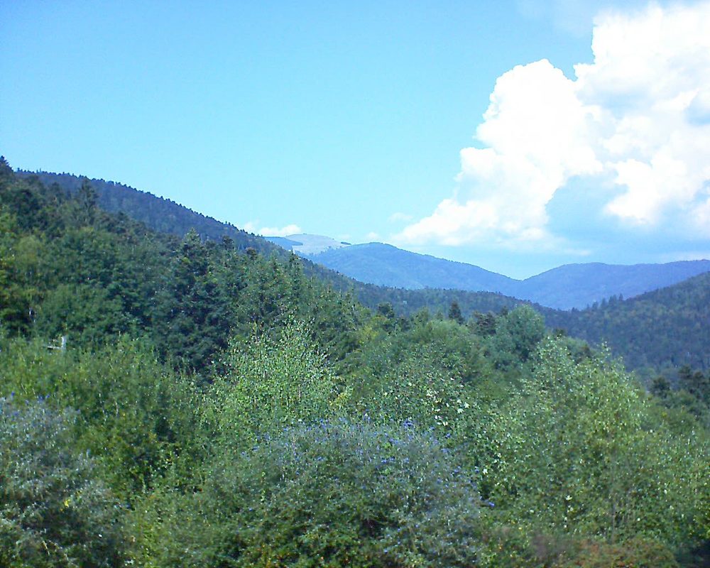 Le petit ballon vu depuis le Domaine Langmatt à Murbach le 18.09.2018 à 13:30 Le petit ballon (Alsace, Vosges) le 18.09.2018 à 13:30