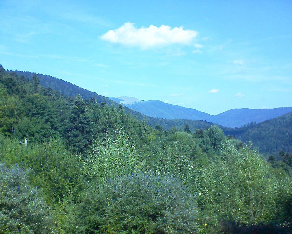 Le petit ballon vu depuis le Domaine Langmatt à Murbach le 20.09.2018 à 12:30 Le petit ballon (Alsace, Vosges) le 20.09.2018 à 12:30