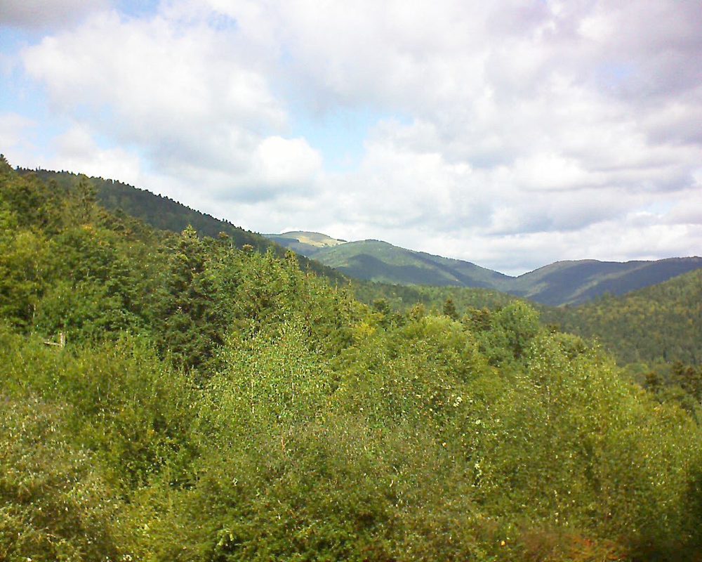 Le petit ballon vu depuis le Domaine Langmatt à Murbach le 24.09.2018 à 13:00 Le petit ballon (Alsace, Vosges) le 24.09.2018 à 13:00
