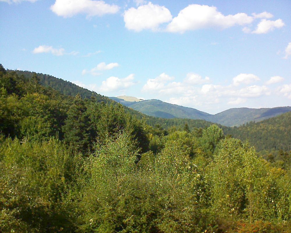Le petit ballon vu depuis le Domaine Langmatt à Murbach le 30.09.2018 à 15:30 Le petit ballon (Alsace, Vosges) le 30.09.2018 à 15:30