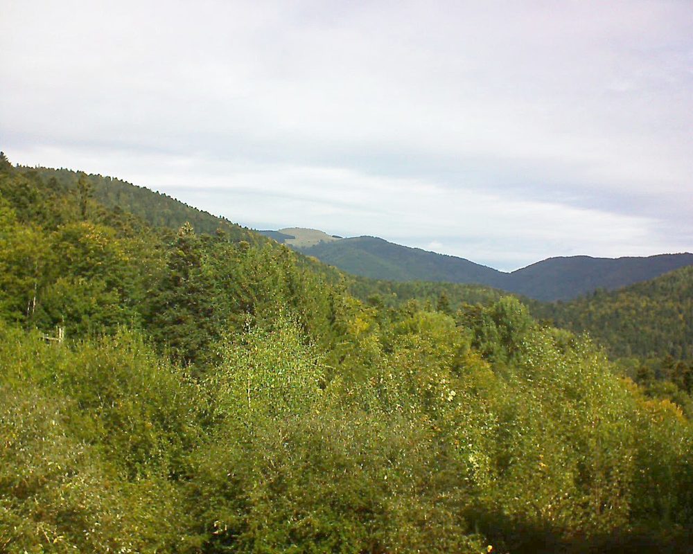 Le petit ballon vu depuis le Domaine Langmatt à Murbach le 02.10.2018 à 11:45 Le petit ballon (Alsace, Vosges) le 02.10.2018 à 11:45