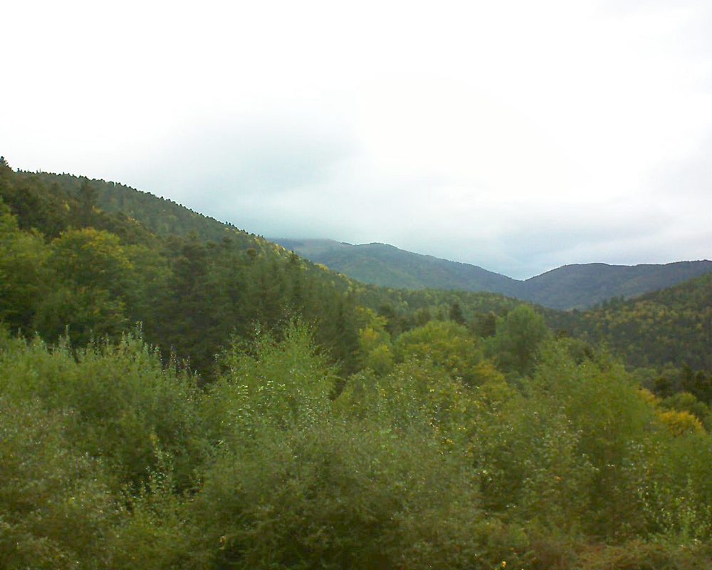 Le petit ballon vu depuis le Domaine Langmatt à Murbach le 03.10.2018 à 08:45 Le petit ballon (Alsace, Vosges) le 03.10.2018 à 08:45