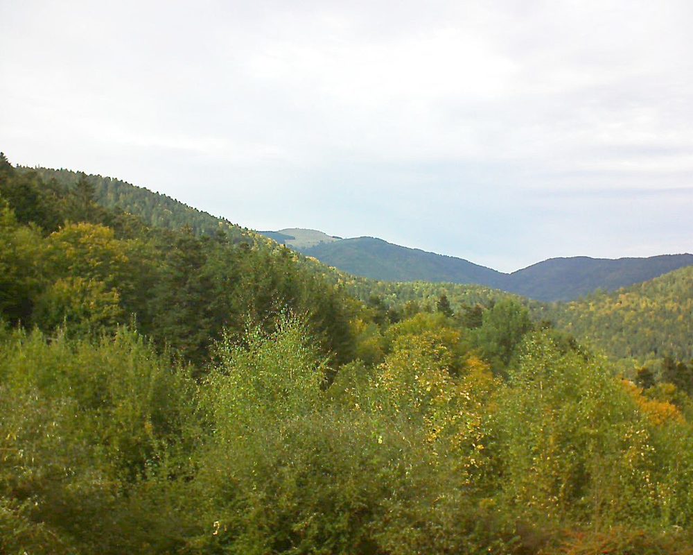 Le petit ballon vu depuis le Domaine Langmatt à Murbach le 06.10.2018 à 15:30 Le petit ballon (Alsace, Vosges) le 06.10.2018 à 15:30