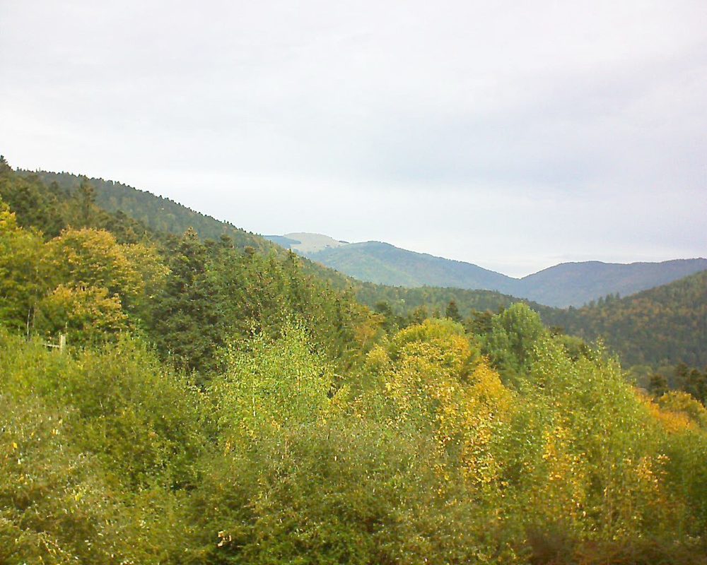 Le petit ballon vu depuis le Domaine Langmatt à Murbach le 11.10.2018 à 12:00 Le petit ballon (Alsace, Vosges) le 11.10.2018 à 12:00