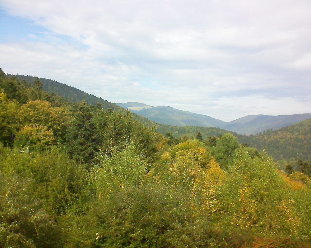 Le petit ballon vu depuis le Domaine Langmatt à Murbach le 11.10.2018 à 14:00 Le petit ballon (Alsace, Vosges) le 11.10.2018 à 14:00