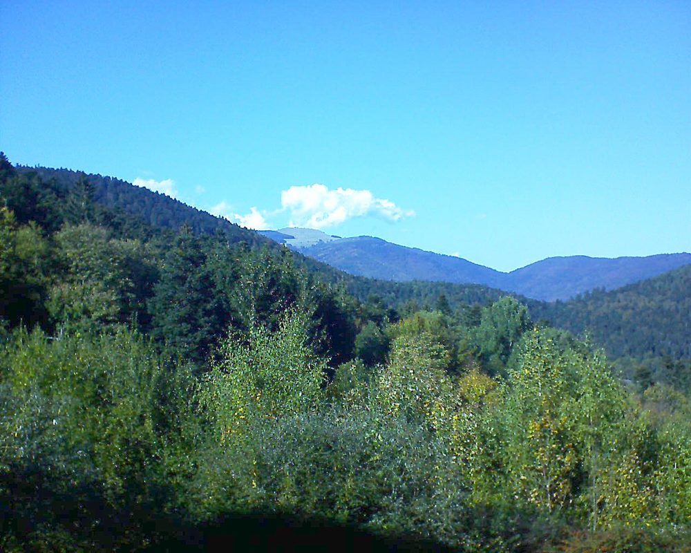 Le petit ballon vu depuis le Domaine Langmatt à Murbach le 14.10.2018 à 15:30 Le petit ballon (Alsace, Vosges) le 14.10.2018 à 15:30