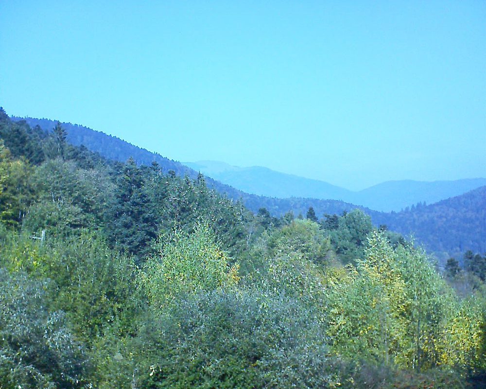 Le petit ballon vu depuis le Domaine Langmatt à Murbach le 19.10.2018 à 13:15 Le petit ballon (Alsace, Vosges) le 19.10.2018 à 13:15