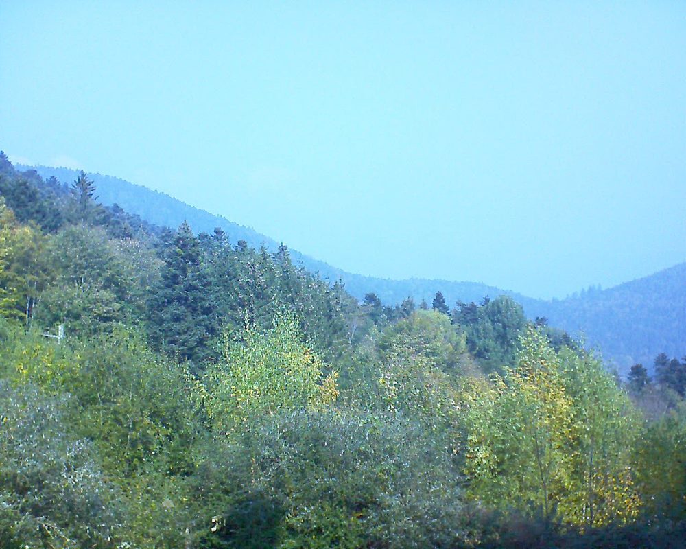 Le petit ballon vu depuis le Domaine Langmatt à Murbach le 20.10.2018 à 12:15 Le petit ballon (Alsace, Vosges) le 20.10.2018 à 12:15