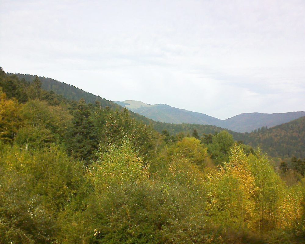 Le petit ballon vu depuis le Domaine Langmatt à Murbach le 23.10.2018 à 13:15 Le petit ballon (Alsace, Vosges) le 23.10.2018 à 13:15