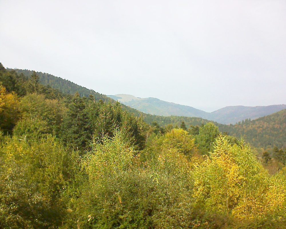 Le petit ballon vu depuis le Domaine Langmatt à Murbach le 23.10.2018 à 14:30 Le petit ballon (Alsace, Vosges) le 23.10.2018 à 14:30