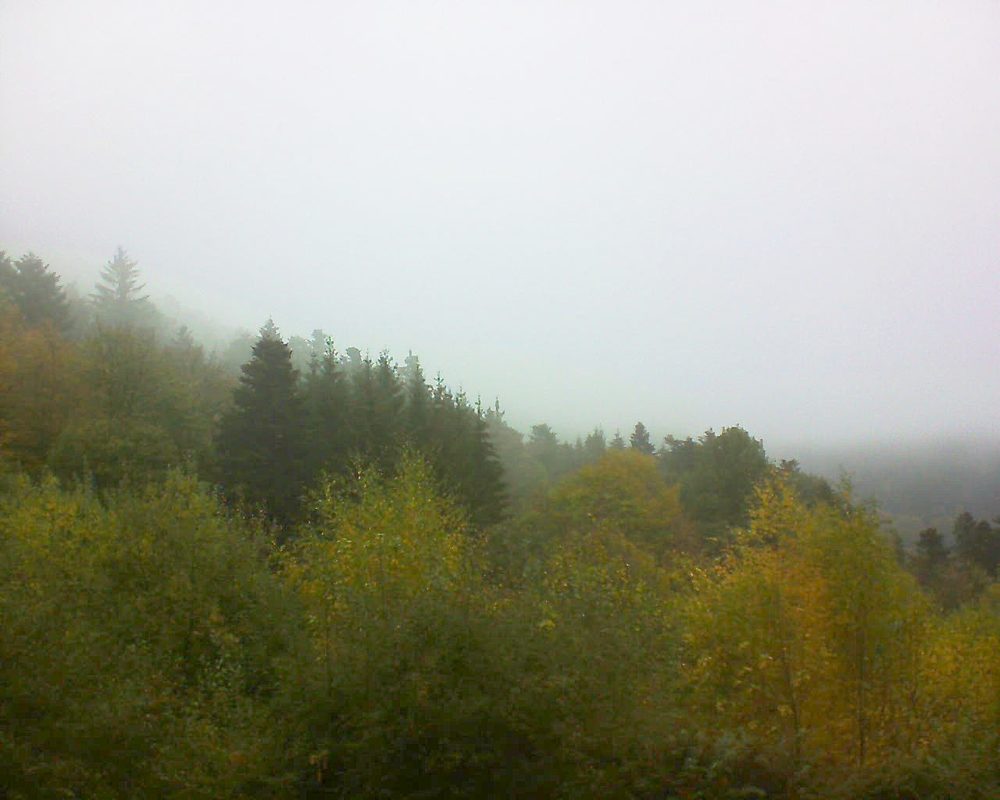 Le petit ballon vu depuis le Domaine Langmatt à Murbach le 29.10.2018 à 12:30 Le petit ballon (Alsace, Vosges) le 29.10.2018 à 12:30