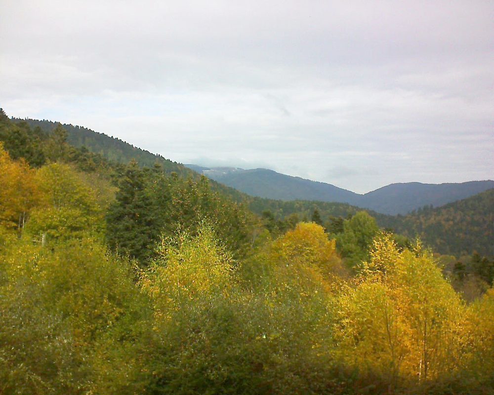 Le petit ballon vu depuis le Domaine Langmatt à Murbach le 03.11.2018 à 11:45 Le petit ballon (Alsace, Vosges) le 03.11.2018 à 11:45