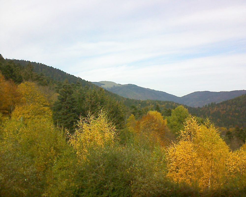 Le petit ballon vu depuis le Domaine Langmatt à Murbach le 07.11.2018 à 12:45 Le petit ballon (Alsace, Vosges) le 07.11.2018 à 12:45