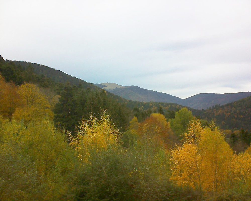 Le petit ballon vu depuis le Domaine Langmatt à Murbach le 07.11.2018 à 14:30 Le petit ballon (Alsace, Vosges) le 07.11.2018 à 14:30