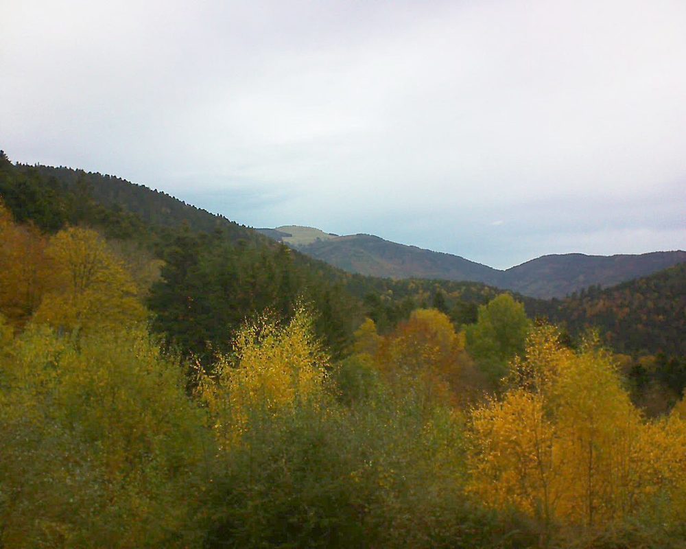 Le petit ballon vu depuis le Domaine Langmatt à Murbach le 07.11.2018 à 14:45 Le petit ballon (Alsace, Vosges) le 07.11.2018 à 14:45