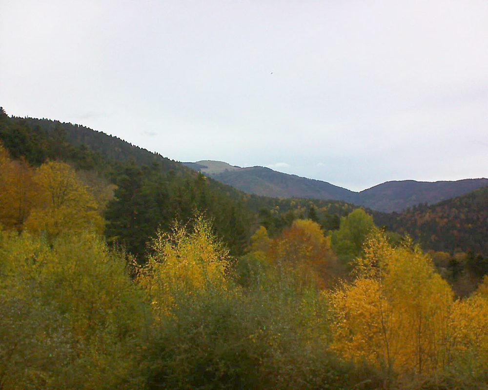 Le petit ballon vu depuis le Domaine Langmatt à Murbach le 07.11.2018 à 15:15 Le petit ballon (Alsace, Vosges) le 07.11.2018 à 15:15