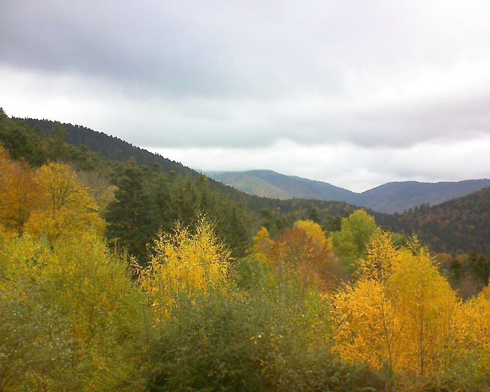 Le petit ballon vu depuis le Domaine Langmatt à Murbach le 08.11.2018 à 11:45 Le petit ballon (Alsace, Vosges) le 08.11.2018 à 11:45