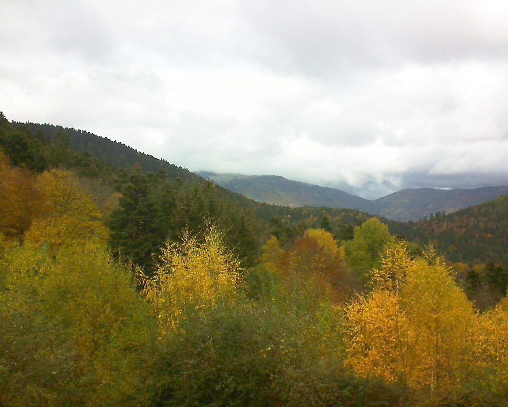 Le petit ballon vu depuis le Domaine Langmatt à Murbach le 08.11.2018 à 13:30 Le petit ballon (Alsace, Vosges) le 08.11.2018 à 13:30