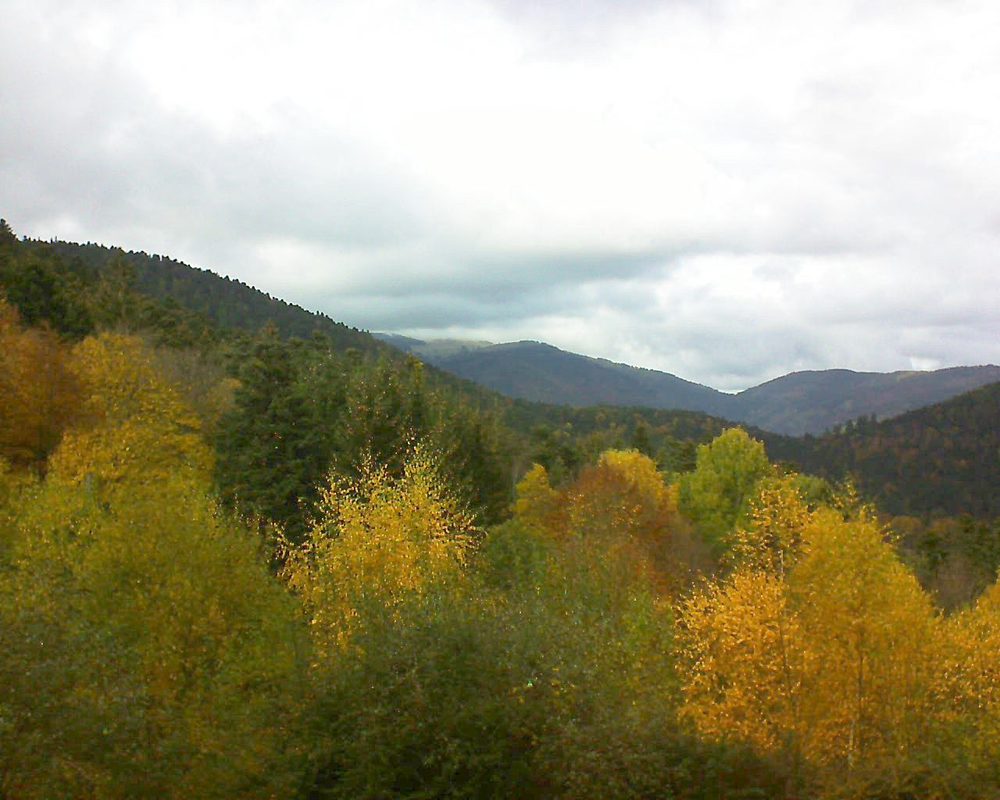 Le petit ballon vu depuis le Domaine Langmatt à Murbach le 08.11.2018 à 14:00 Le petit ballon (Alsace, Vosges) le 08.11.2018 à 14:00