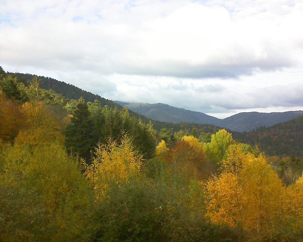 Le petit ballon vu depuis le Domaine Langmatt à Murbach le 08.11.2018 à 14:30 Le petit ballon (Alsace, Vosges) le 08.11.2018 à 14:30